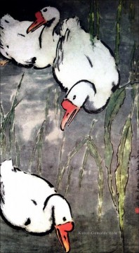 old eating soup Ölbilder verkaufen - Xu Beihong goose 2 old China ink